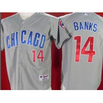 Chicago Cubs #14 Ernie Banks Gray Jersey