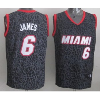 Miami Heat #6 LeBron James Black Leopard Print Fashion Jersey